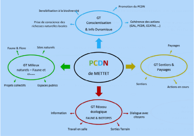 mind mapping pcdn